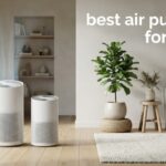 best air purifiers for mold