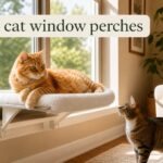 best cat window perches