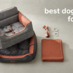 best dog beds for cars