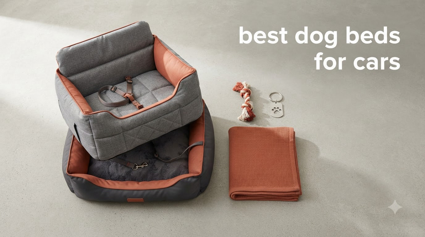best dog beds for cars