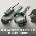 best waterproof e collars for duck hunting