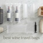 best wine travel bags