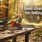 best chainsaws for felling trees