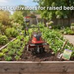 best cultivators for raised beds