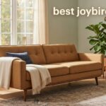 best joybird sofas