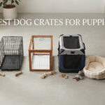 best dog crates for puppies