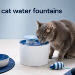 best cat water fountains