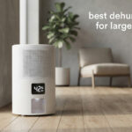 best dehumidifiers for large rooms