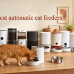 best automatic cat feeders