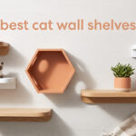 best cat wall shelves