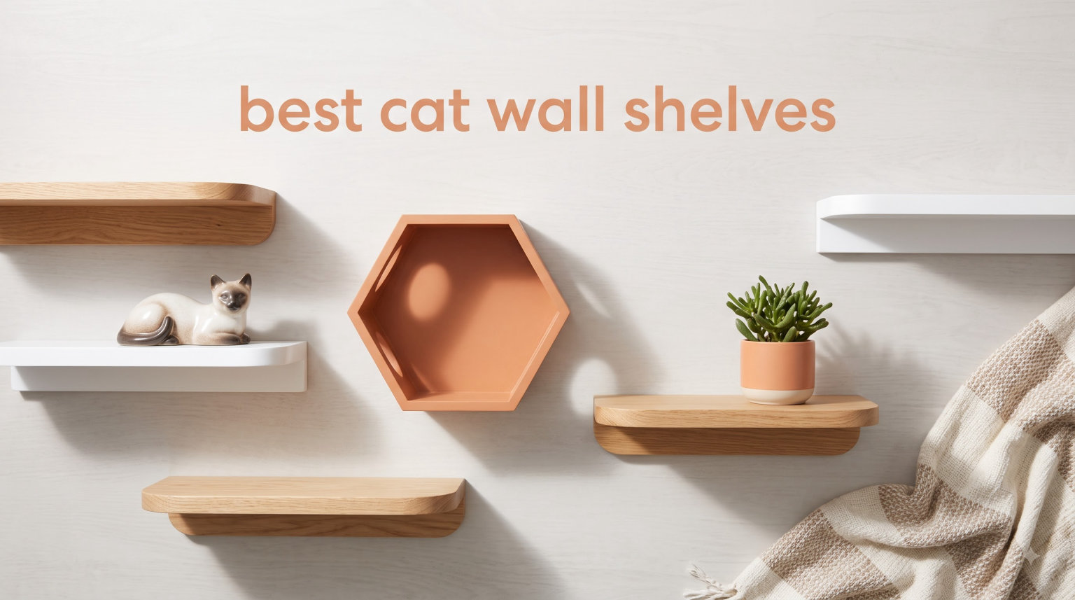 best cat wall shelves