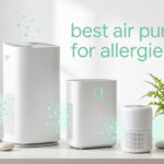 best air purifiers for allergies