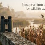 best premium binoculars for wildlife watching