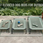 best elevated dog beds for outdoors