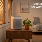 best air purifiers for wildfire smoke
