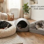 best calming dog beds for anxious dogs
