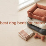 best dog beds for crates