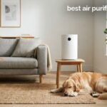 best air purifiers for pets