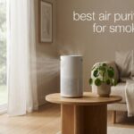 best air purifiers for smoke