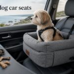 best dog car seats