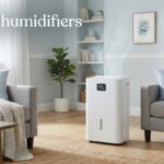 best dehumidifiers