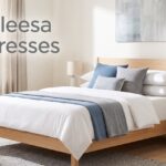 best leesa mattresses