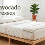 best avocado mattresses