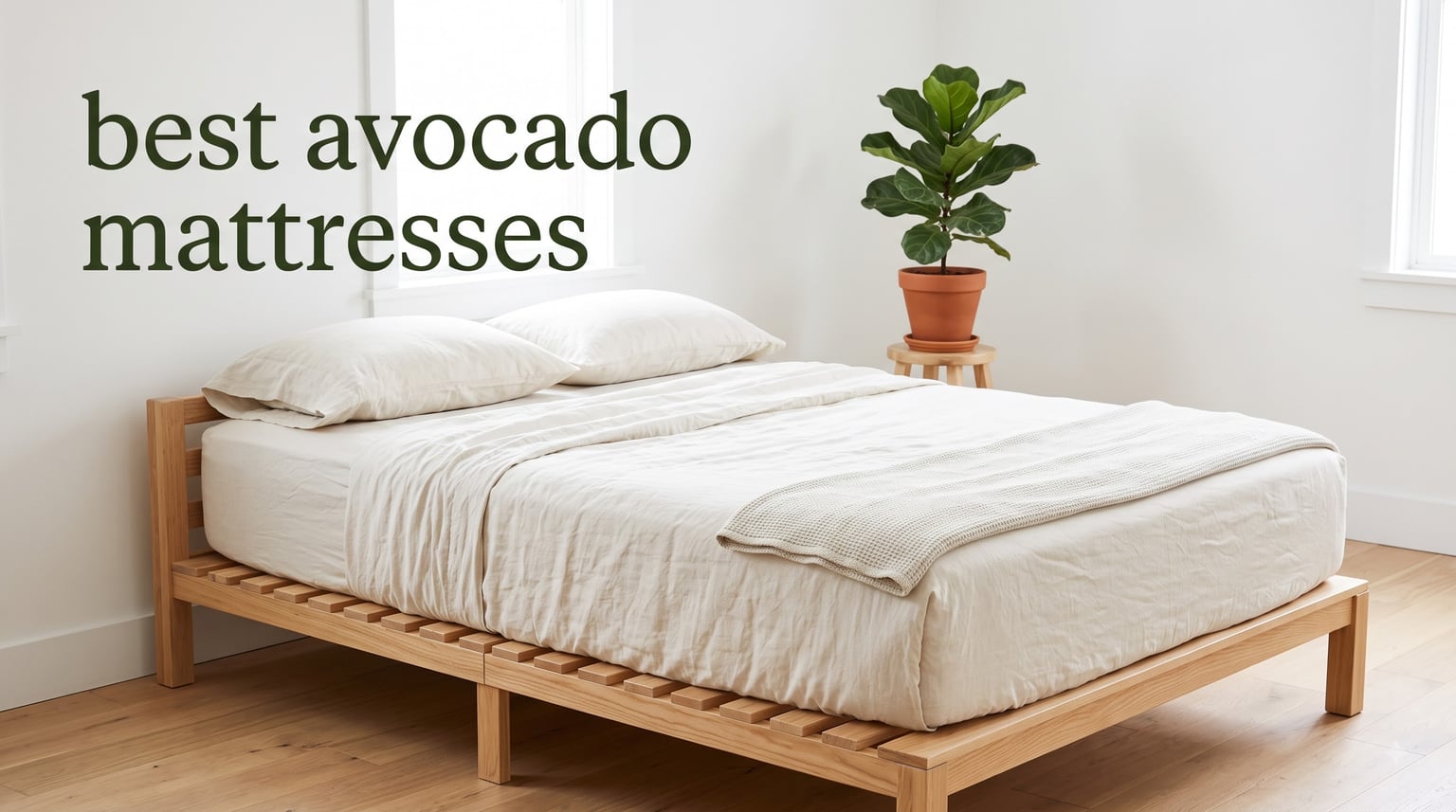 best avocado mattresses
