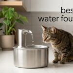 best catit water fountains