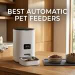 best automatic pet feeders