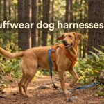 best ruffwear dog harnesses
