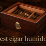 best cigar humidors