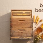 best beehives