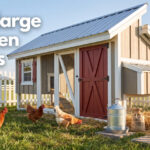 best large chicken coops