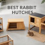 best rabbit hutches