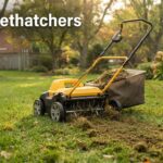 best dethatchers