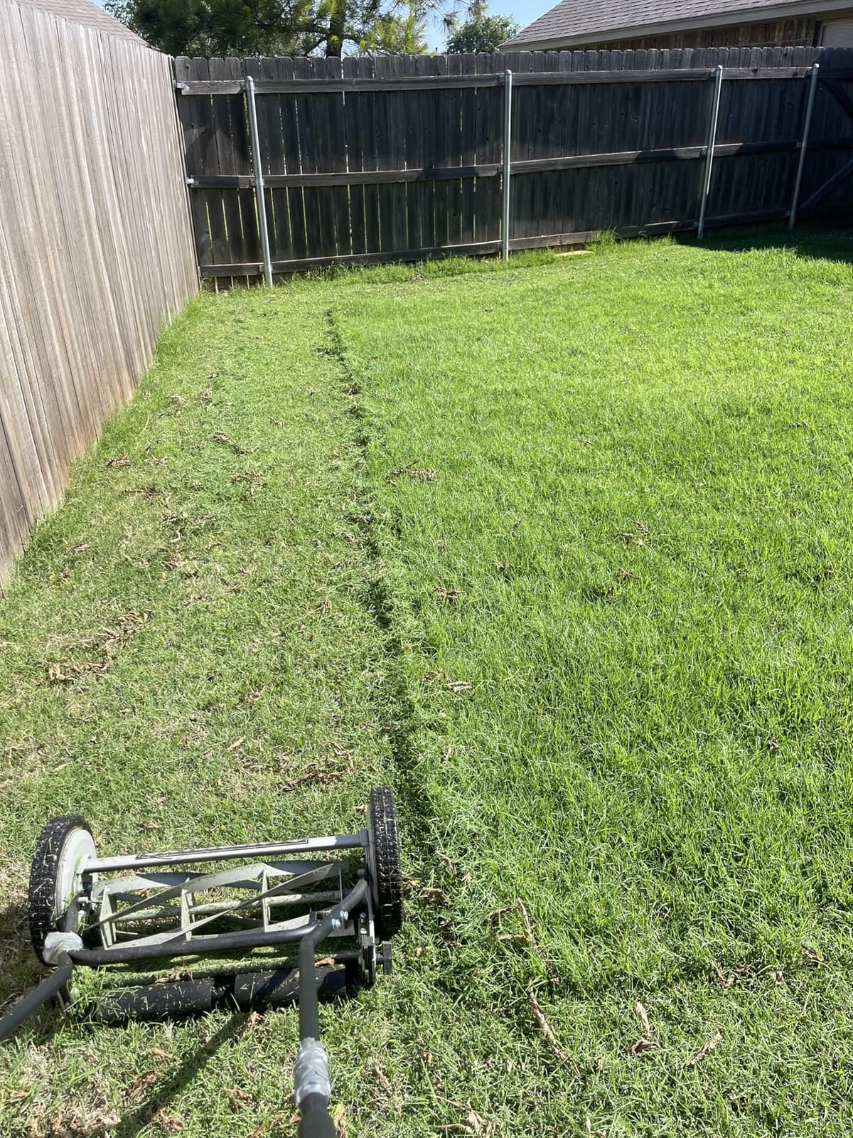 American Lawn Mower 1815-18 18-Inch 5-Blade Push Reel Lawn Mower, Black customer photo 2