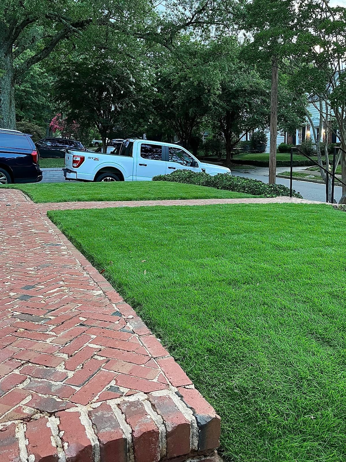 Scotts 2000-20S 20-Inch 5-Blade Push Reel Lawn Mower, Green customer photo 2