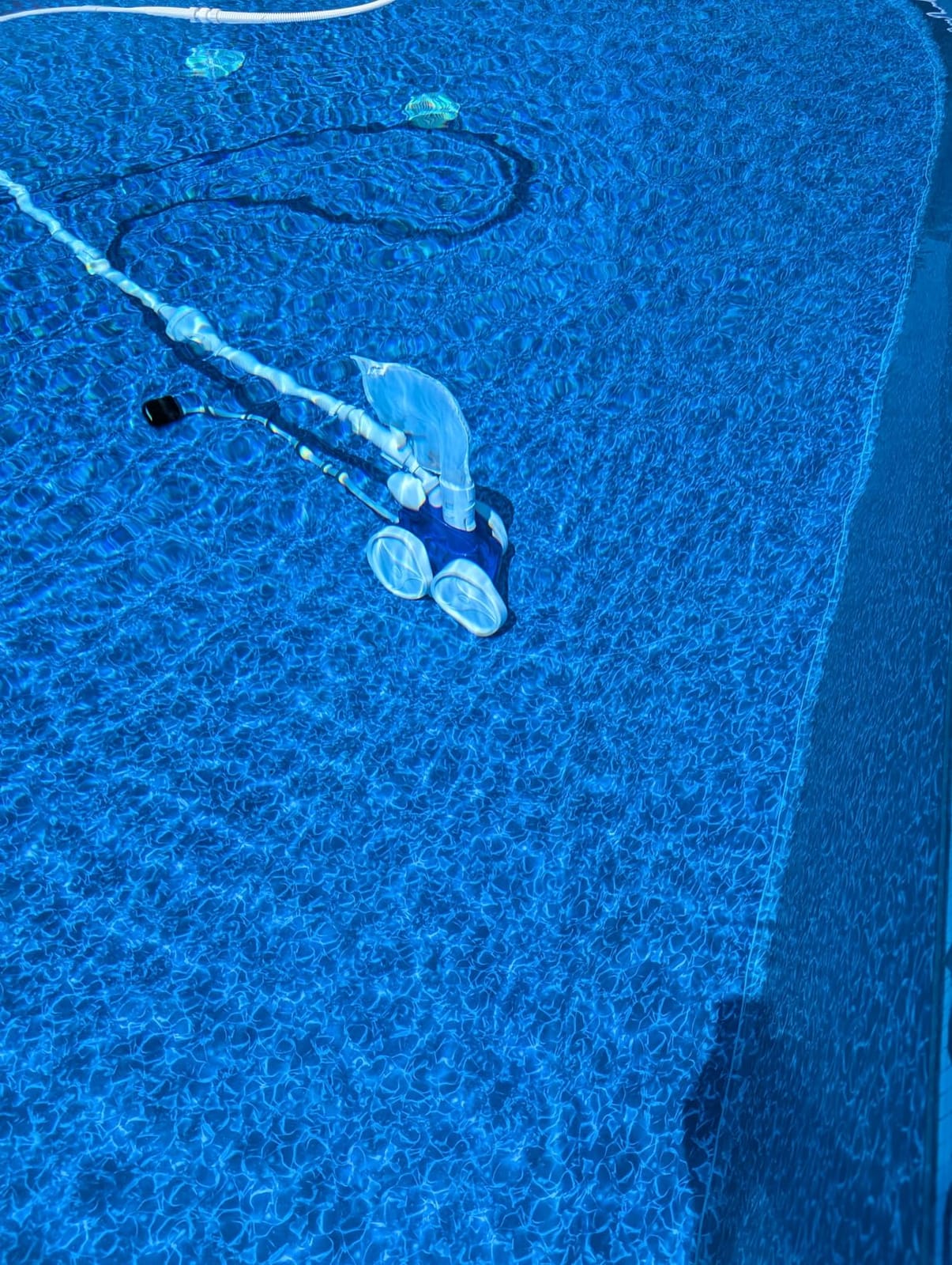 Polaris Vac-Sweep 360 Pressure-Side Cleaner for In-Ground Pools customer photo 2