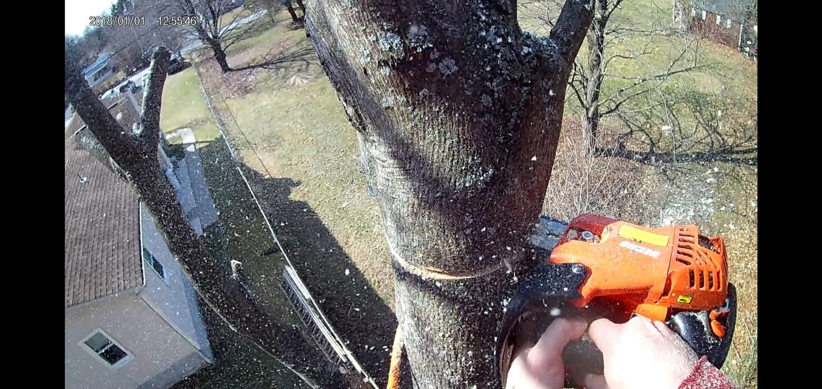 Chain Saw, Gas, 12 In. Bar, 26.9CC customer photo 2