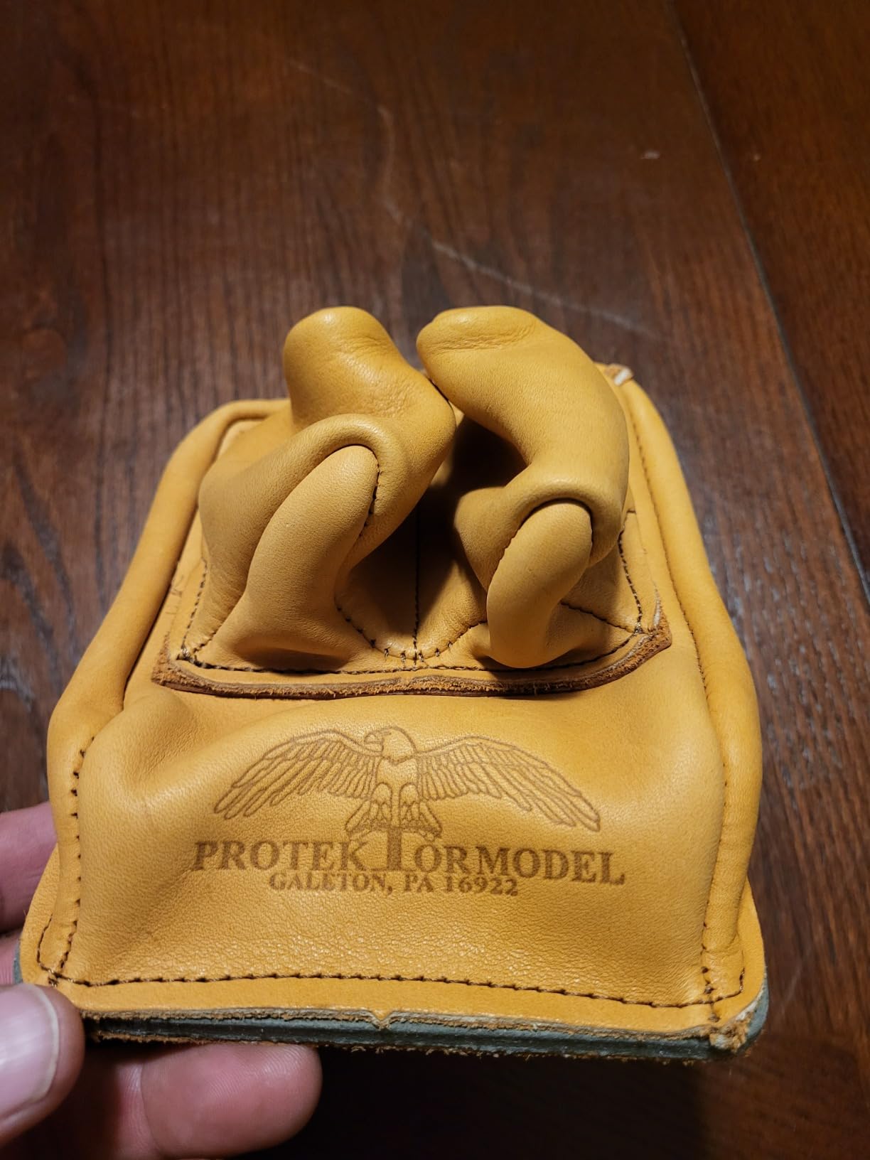 Protektor Model Rabbit Ear Rear Bag with Hard Bottom customer photo 2