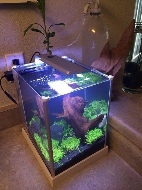 Fluval SPEC Aquarium Kit, 5-Gallon customer photo 1