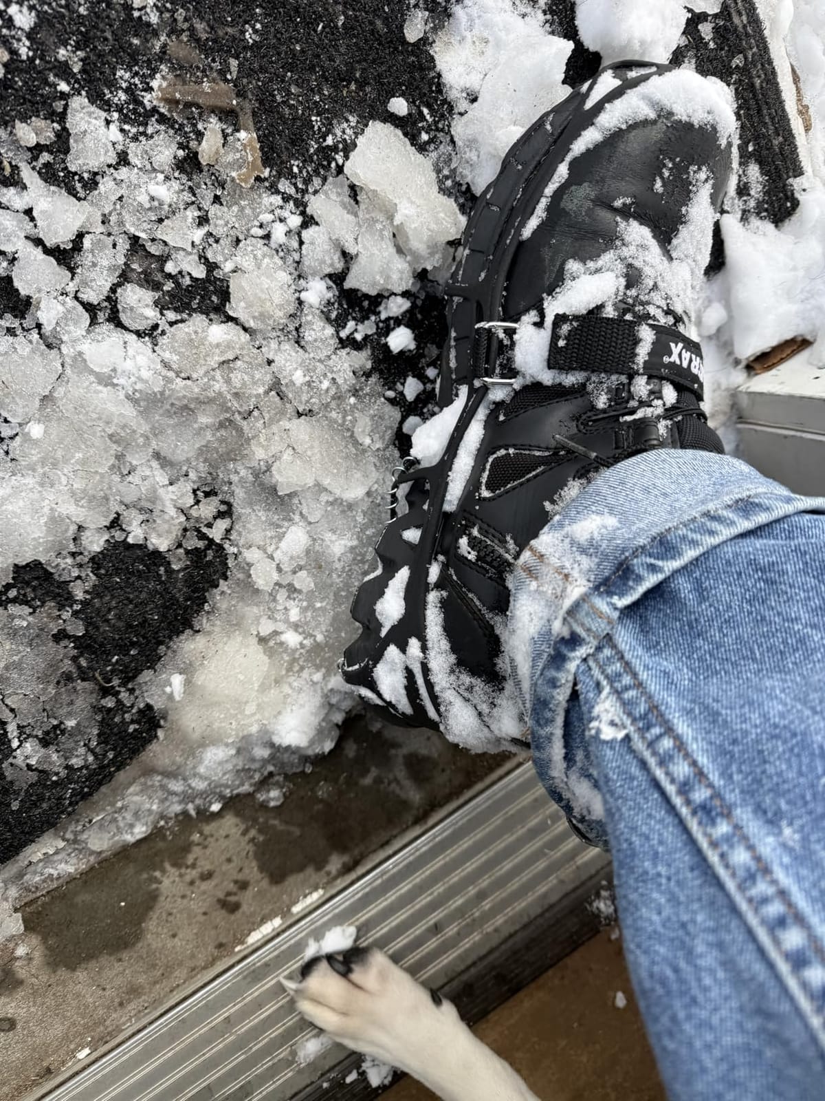Yaktrax Pro Traction Cleats - 360-Degree Grip on Snow, Ice, & Multi-Terrain Surfaces - Elastic Outer Band w/Easy-On/Off Heel Tab & 1.4mm Stainless Steel Coils - Abrasion Resistant - Unisex customer photo 1