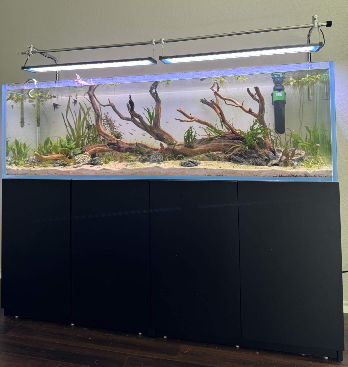 LANDEN Aquarium 60H 30 Gallon Ultra Clear Glass Rimless Fish Tank customer photo 2