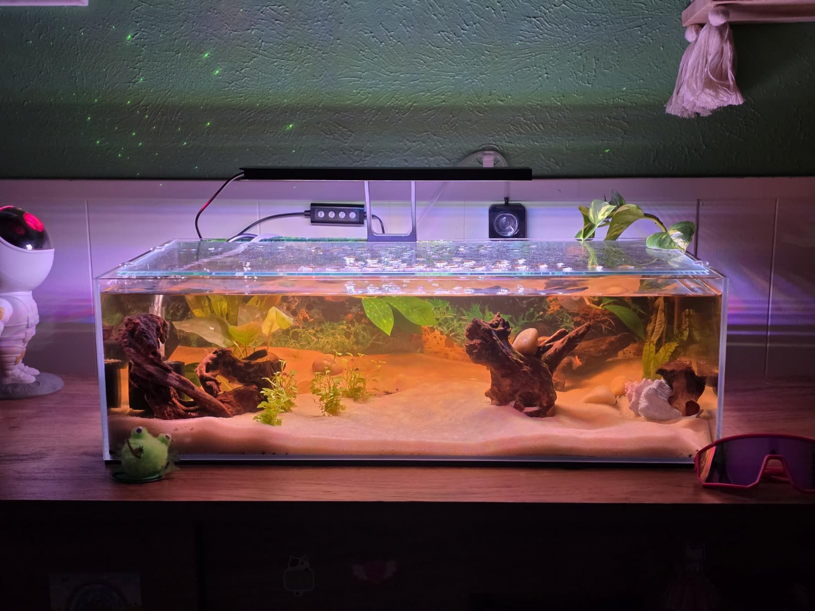 LANDEN Aquarium 60P 16 Gallon Ultra Clear Glass Rimless Fish Tank customer photo 1
