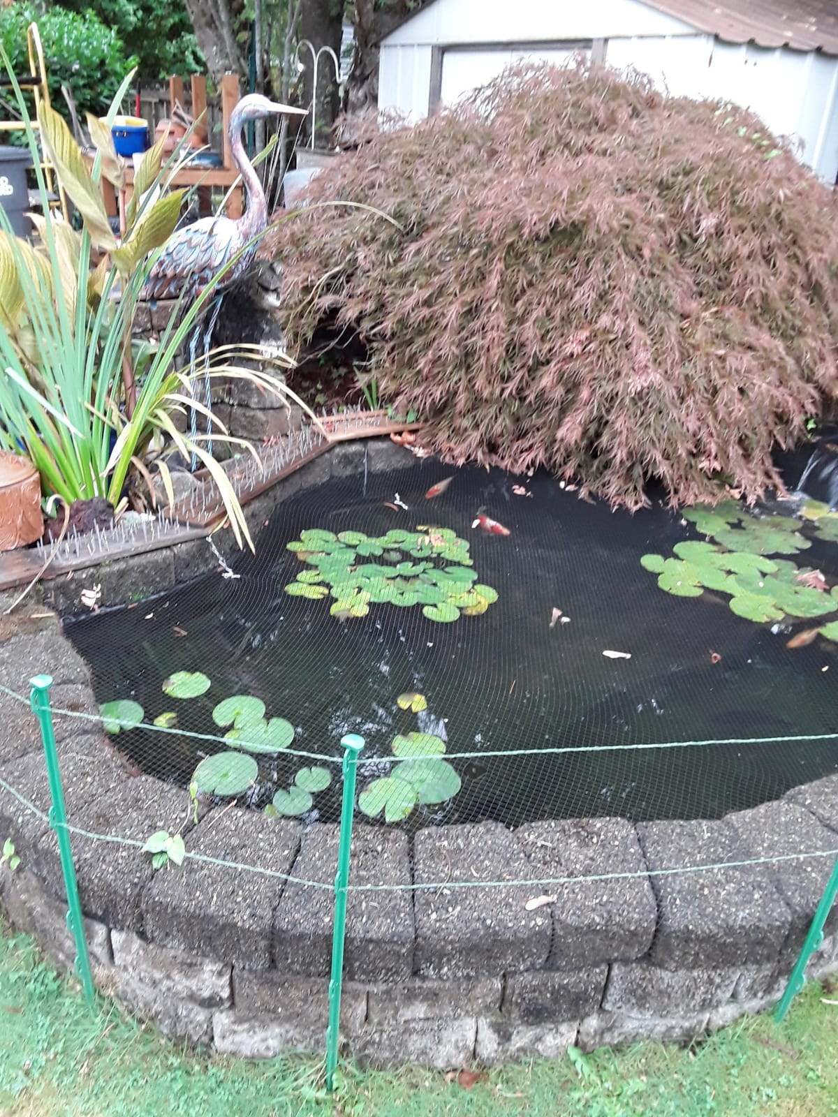 Patriot - Garden Kit customer photo 1