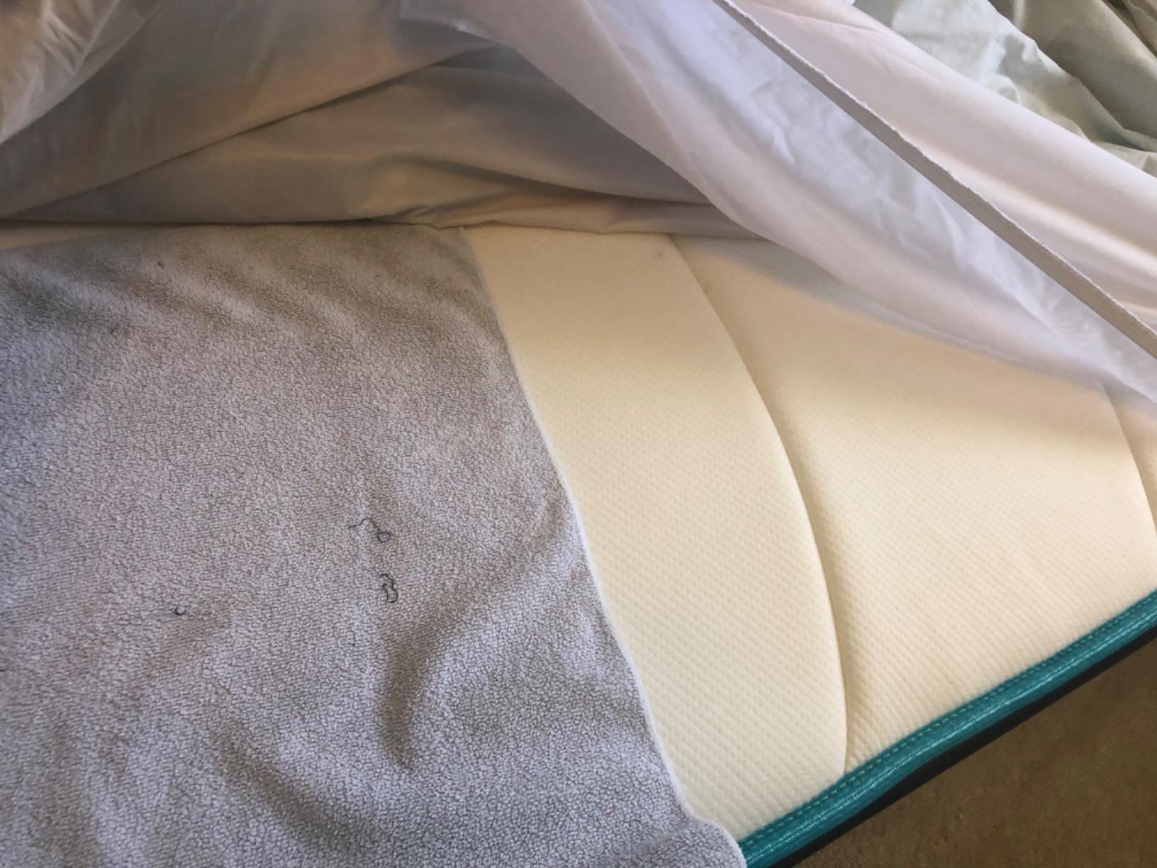 Linenspa Waterproof Mattress Protector, Queen Size – Fitted Sheet Style, Breathable, Machine Washable & Dryer Safe, White customer photo 2