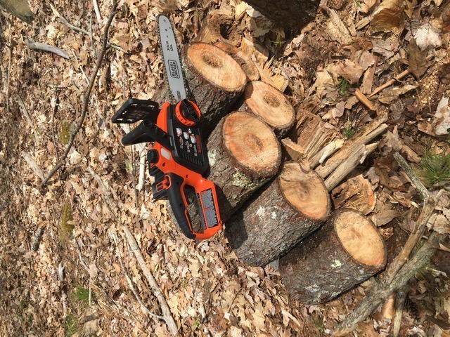 BLACK+DECKER 40V MAX Electric Chainsaw Cordless, 12 Inch Battery Chainsaw, Battery and Charger Included, Longer Runtime, Lightweight Rechargeable (LCS1240) customer photo 1