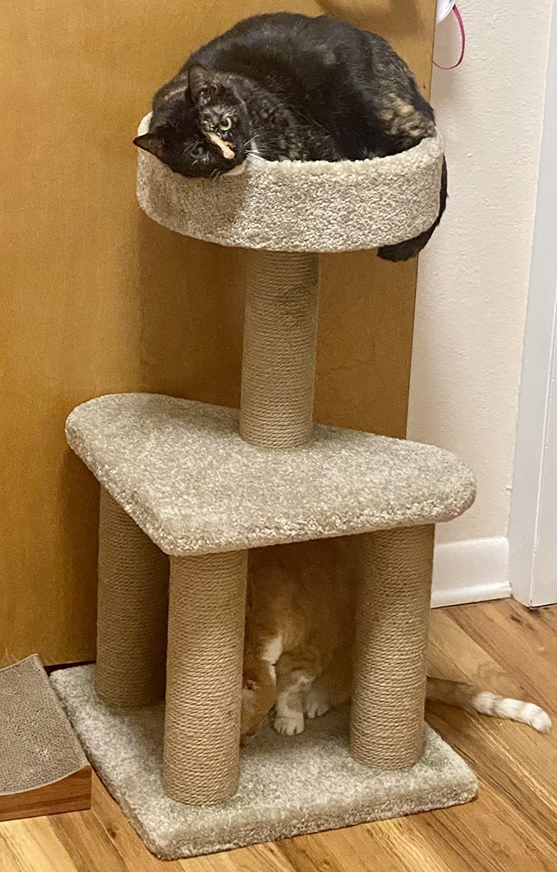 Amazon Basics Cat Tree - Multi-Level Climbing Activity Tower with Jute Rope Scratching Posts for Indoor Cats & Kittens, Medium (31.5