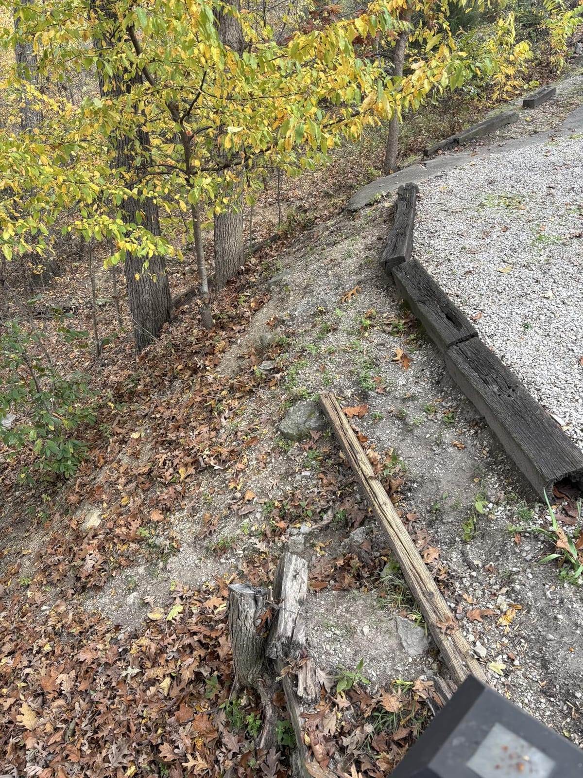 WORX 12 Amp Turbine Electric Leaf Blower for Daily Leaf Removal, WG520 customer photo 2